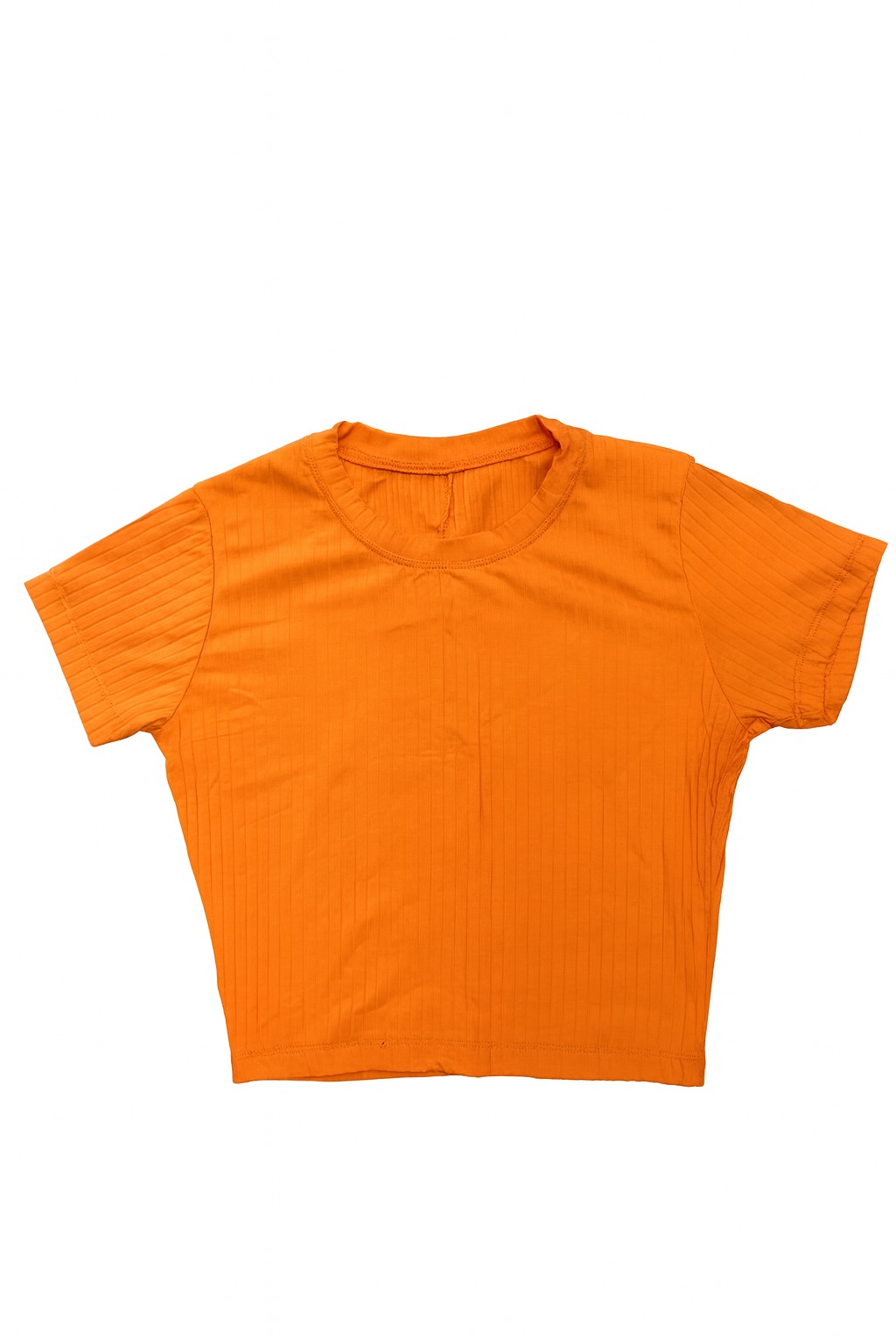 Remera Terra - Imagen 3